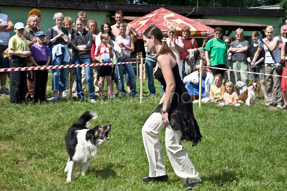 2008_06_15_7947.jpg - Foto: Rudolf Flachs - www.fotoprofesional.cz