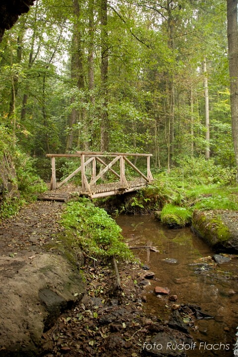 2010_09_25_7995.jpg - www.flachs.cz