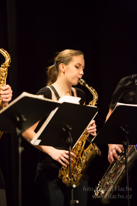 2013_12_04_2293.jpg - www.flachs.cz