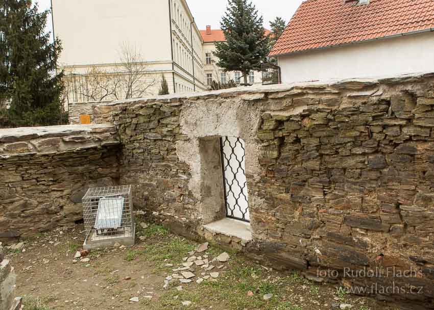 2014_02_10_0814.jpg - www.flachs.cz