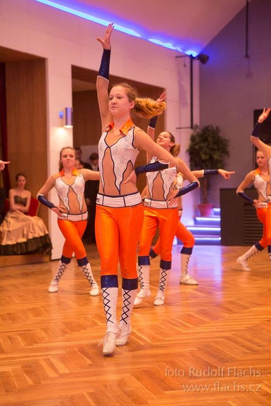 2014_02_28_3687.jpg - www.flachs.cz