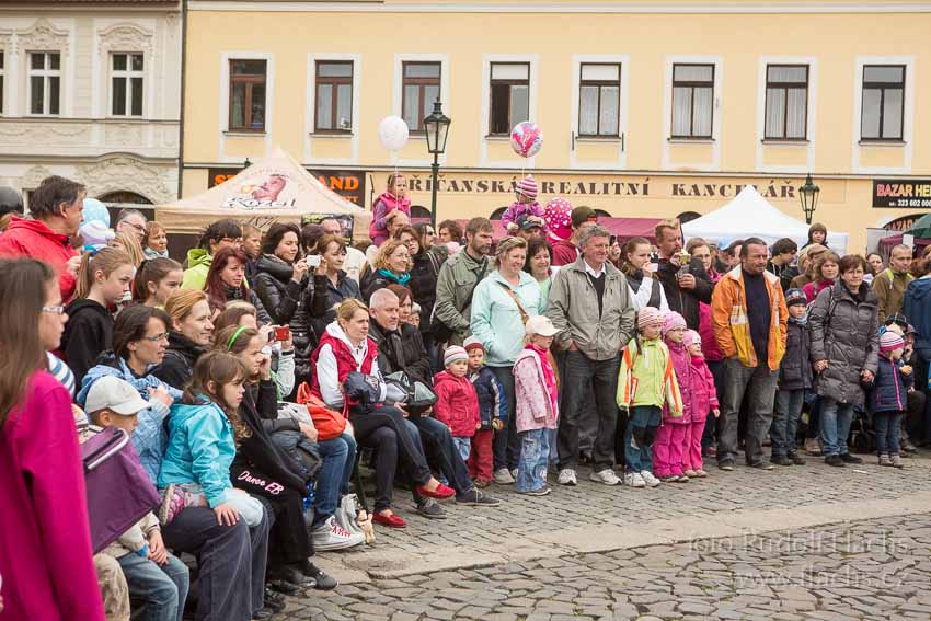 2014_05_17_1456.jpg - www.flachs.cz