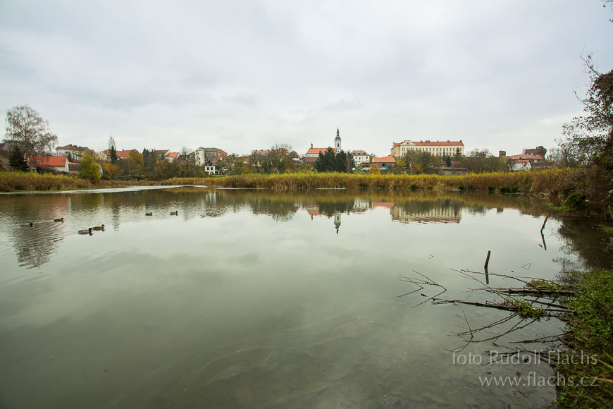 2014_11_13_5348.jpg - www.flachs.cz