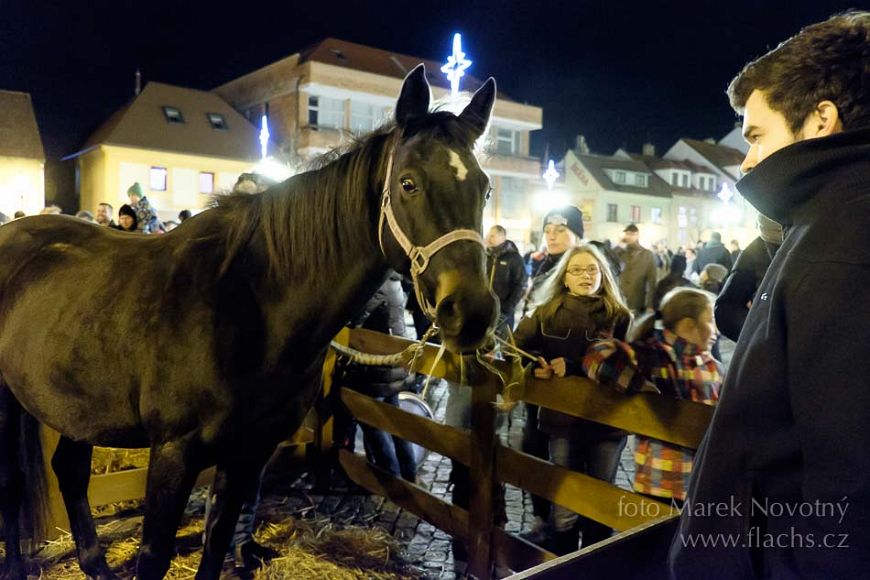 2014_12_23_2844.jpg - www.flachs.cz