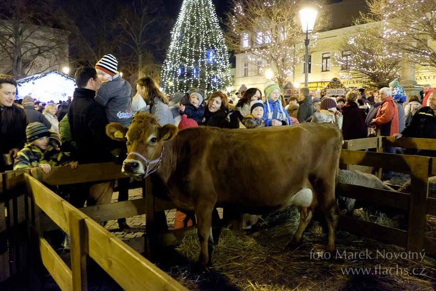 2014_12_23_2846.jpg - www.flachs.cz