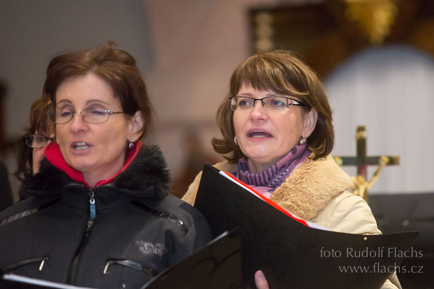 2015_01_11_6718.jpg - www.flachs.cz