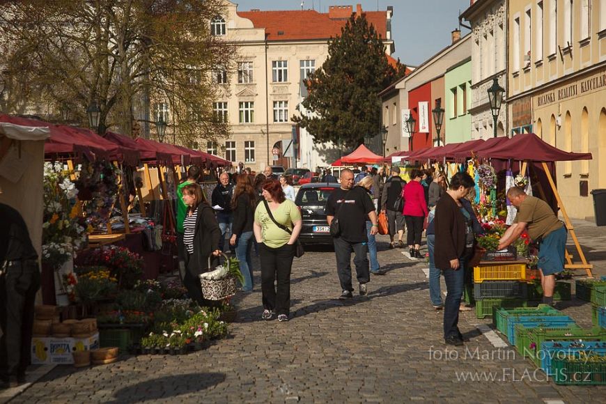 2015_04_25_7170.jpg - www.flachs.cz