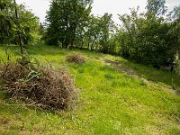 Fotografie Flachs Říčany - Masarykovo nám. 155/9 - Říčany fotograf  Rudolf Flachs - www.flachs.cz tel. 602 341 972  záběr číslo: 2016 06 02 6513