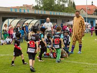 Fotografie Flachs Říčany - Masarykovo nám. 155/9 - Říčany fotograf  Rudolf Flachs - www.flachs.cz tel. 602 341 972  záběr číslo: 2016 05 11 8383