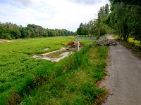 Fotografie Flachs Říčany - Masarykovo nám. 155/9 - Říčany fotograf  Rudolf Flachs - www.flachs.cz tel. 602 341 972  záběr číslo: 2016 07 24 7637