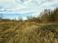 Fotografie Flachs Říčany - Masarykovo nám. 155/9 - Říčany fotograf  Rudolf Flachs - www.flachs.cz tel. 602 341 972  záběr číslo: 2019 01 17 0032 : fotograf Rudolf Flachs - www.flachs.cz - +420 602 341 972