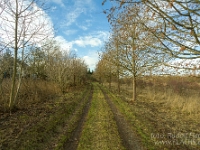 Fotografie Flachs Říčany - Masarykovo nám. 155/9 - Říčany fotograf  Rudolf Flachs - www.flachs.cz tel. 602 341 972  záběr číslo: 2019 01 17 0285 : fotograf Rudolf Flachs - www.flachs.cz - +420 602 341 972