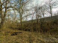 Fotografie Flachs Říčany - Masarykovo nám. 155/9 - Říčany fotograf  Rudolf Flachs - www.flachs.cz tel. 602 341 972  záběr číslo: 2019 01 17 0306 : fotograf Rudolf Flachs - www.flachs.cz - +420 602 341 972