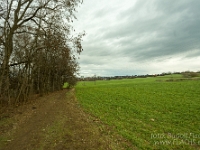 Fotografie Flachs Říčany - Masarykovo nám. 155/9 - Říčany fotograf  Rudolf Flachs - www.flachs.cz tel. 602 341 972  záběr číslo: 2019 01 17 0496 : fotograf Rudolf Flachs - www.flachs.cz - +420 602 341 972