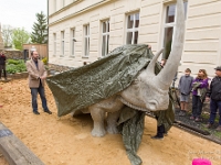 Fotografie Flachs Říčany - Masarykovo nám. 155/9 - Říčany fotograf  Rudolf Flachs - www.flachs.cz tel. 602 341 972  záběr číslo: 2019 05 01 0364 : fotograf Rudolf Flachs - www.flachs.cz - +420 602 341 972