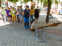 Fotografie Flachs Říčany - Masarykovo nám. 155/9 - Říčany fotograf  Rudolf Flachs - www.flachs.cz tel. 602 341 972  záběr číslo: 2019 06 18 0295 : fotograf Rudolf Flachs - www.flachs.cz - +420 602 341 972