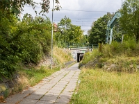 Fotografie Flachs Říčany - Masarykovo nám. 155/9 - Říčany fotograf  Rudolf Flachs - www.flachs.cz tel. 602 341 972  záběr číslo: 2019 08 07 5311 : fotograf Rudolf Flachs - www.flachs.cz - +420 602 341 972