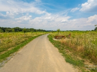 Fotografie Flachs Říčany - Masarykovo nám. 155/9 - Říčany fotograf  Marek Flachs - www.flachs.cz tel. 602 500 312  záběr číslo: 2020 08 10 0535 : www.flachs.cz