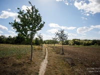 Fotografie Flachs Říčany - Masarykovo nám. 155/9 - Říčany fotograf  Rudolf Flachs - www.flachs.cz tel. 602 341 972  záběr číslo: 2020 08 27 0036 : www.flachs.cz