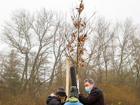 Fotografie Flachs Říčany - Masarykovo nám. 155/9 - Říčany fotograf  Rudolf Flachs - www.flachs.cz tel. 602 341 972  záběr číslo: 2020 11 28 2152