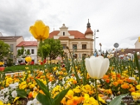 Fotografie Flachs Říčany - Masarykovo nám. 155/9 - Říčany fotograf  Marek Flachs - www.flachs.cz tel. 602 500 312  záběr číslo: 2021 05 17 0037 : www.flachs.cz