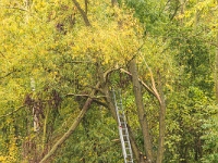 Fotografie Flachs Říčany - Masarykovo nám. 155/9 - Říčany fotograf  Rudolf Flachs - www.flachs.cz tel. 602 341 972  záběr číslo: 2021 10 16 0074