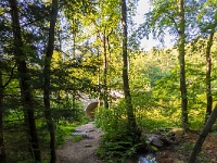 Fotografie Flachs Říčany - Masarykovo nám. 155/9 - Říčany fotograf  Rudolf Flachs - www.flachs.cz tel. 602 341 972  záběr číslo: 2022 07 25 0568