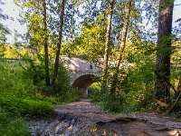 Fotografie Flachs Říčany - Masarykovo nám. 155/9 - Říčany fotograf  Rudolf Flachs - www.flachs.cz tel. 602 341 972  záběr číslo: 2022 07 25 0578