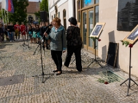 Fotografie Flachs Říčany - Masarykovo nám. 155/9 - Říčany fotograf  Rudolf Flachs - www.flachs.cz tel. 602 341 972  záběr číslo: 2023 05 16 0105