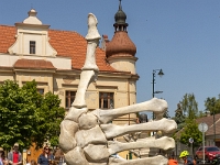 Fotografie Flachs Říčany - Masarykovo nám. 155/9 - Říčany fotograf  Rudolf Flachs - www.flachs.cz tel. 602 341 972  záběr číslo: 2023 05 27 0232