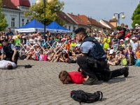 Fotografie Flachs Říčany - Masarykovo nám. 155/9 - Říčany fotograf  Rudolf Flachs - www.flachs.cz tel. 602 341 972  záběr číslo: 2023 06 20 0285