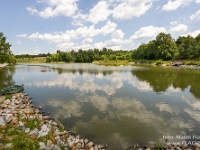 Fotografie Flachs Říčany - Masarykovo nám. 155/9 - Říčany fotograf  Rudolf Flachs - www.flachs.cz tel. 602 341 972  záběr číslo: 2023 07 26 0067