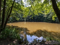 Fotografie Flachs Říčany - Masarykovo nám. 155/9 - Říčany fotograf  Rudolf Flachs - www.flachs.cz tel. 602 341 972  záběr číslo: 2023 07 26 0123