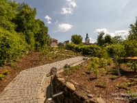 Fotografie Flachs Říčany - Masarykovo nám. 155/9 - Říčany fotograf  Rudolf Flachs - www.flachs.cz tel. 602 341 972  záběr číslo: 2023 07 26 0170