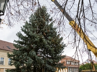 Fotografie Flachs Říčany - Masarykovo nám. 155/9 - Říčany fotograf  Rudolf Flachs - www.flachs.cz tel. 602 341 972  záběr číslo: 2023 11 15 0029