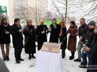 Fotografie Flachs Říčany - Masarykovo nám. 155/9 - Říčany fotograf  mAREK Flachs - www.flachs.cz tel. 602 500 312  záběr číslo: 2023 12 05 5279