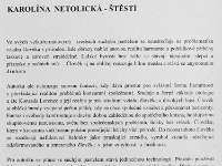 Fotografie Flachs Říčany - Masarykovo nám. 155/9 - Říčany fotograf  Rudolf Flachs - www.flachs.cz tel. 602 341 972  záběr číslo: 2024 01 24 0069