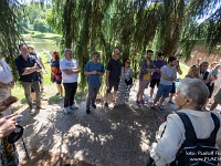 Fotografie Flachs Říčany - Masarykovo nám. 155/9 - Říčany fotograf  Rudolf Flachs - www.flachs.cz tel. 602 341 972  záběr číslo: 2024 06 08 0317