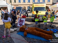 Fotografie Flachs Říčany - Masarykovo nám. 155/9 - Říčany fotograf  Rudolf Flachs - www.flachs.cz tel. 602 341 972  záběr číslo: 2024 06 18 0512