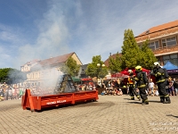 Fotografie Flachs Říčany - Masarykovo nám. 155/9 - Říčany fotograf  Rudolf Flachs - www.flachs.cz tel. 602 341 972  záběr číslo: 2024 06 18 0956