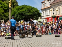 Fotografie Flachs Říčany - Masarykovo nám. 155/9 - Říčany fotograf  Rudolf Flachs - www.flachs.cz tel. 602 341 972  záběr číslo: 2024 06 18 1223