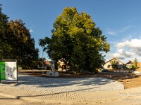 2025_08_29_8522-Pano