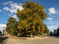 2025_08_29_8553-Pano