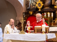 Fotografie Flachs Říčany - Masarykovo nám. 155/9 - Říčany fotograf  Rudolf Flachs - www.flachs.cz tel. 602 341 972  záběr číslo: 2023 06 25 0208