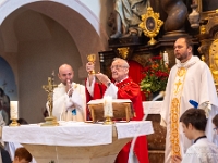 Fotografie Flachs Říčany - Masarykovo nám. 155/9 - Říčany fotograf  Rudolf Flachs - www.flachs.cz tel. 602 341 972  záběr číslo: 2023 06 25 0235