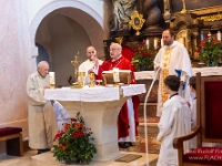 Fotografie Flachs Říčany - Masarykovo nám. 155/9 - Říčany fotograf  Rudolf Flachs - www.flachs.cz tel. 602 341 972  záběr číslo: 2023 06 25 0268