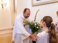 Fotografie Flachs Říčany - Masarykovo nám. 155/9 - Říčany fotograf  Rudolf Flachs - www.flachs.cz tel. 602 341 972  záběr číslo: 2023 06 25 0345