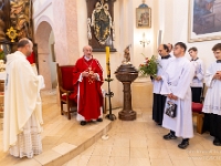 Fotografie Flachs Říčany - Masarykovo nám. 155/9 - Říčany fotograf  Rudolf Flachs - www.flachs.cz tel. 602 341 972  záběr číslo: 2023 06 25 0350